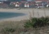 O BNG pide a retirada das especies invasoras na praia do Castro