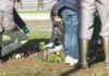 Nenos de Vilagarcía aprenden a coidar a súa contorna con plantas