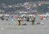 A campaña marisqueira de Noia bate récords de facturación ás portas do Nadal