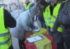A Policía Nacional e a Garda Civil comezan a campaña de recollida de sinaturas por unha equiparación salarial