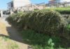 Uns veciños de Cambados reclaman un muro prometido polo Concello hai meses
