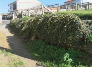 Uns veciños de Cambados reclaman un muro prometido polo Concello hai meses