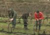 O futuro da viticultura fórmase no IES Ramón Cabanillas O futuro da viticultura fórmase no IES Ramón Cabanillas