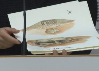 Tres ilustradores plasmarán dez castros da provincia nos seus traballos