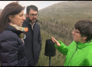 Os montes sonenses pioneiros nun traballo de investigación de zonas queimadas