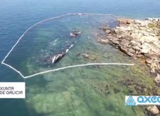 O accidente do catamarán do Grove, a vista de paxaro