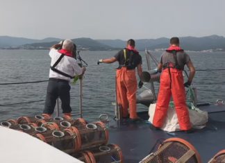 O servizo de Gardacostas comisa preto dos trescentos quilos de peixe e marisco