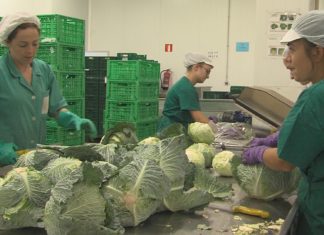 A Xunta destinará uns 4 millóns de euros as explotacións agrícolas vexetais