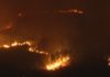 Ribeira adhírese a un convenio de xestión da biomasa para a prevención de incendios