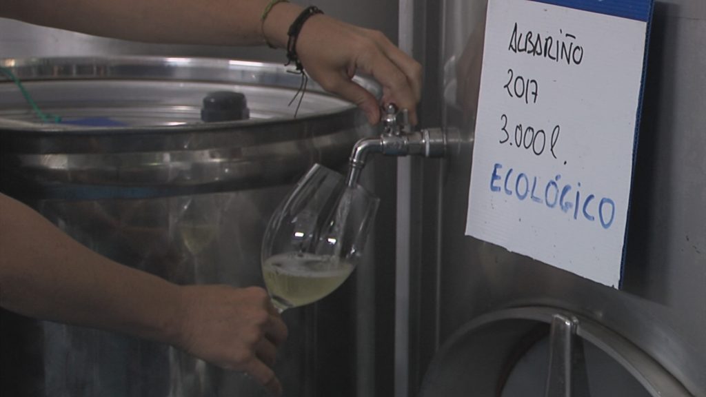 Don Olegario aposta pola viticultura ecolóxica en Rías Baixas