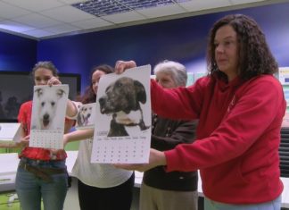 “Os Palleiros” colabora cun programa de adestramento de cans para atención terapéutica