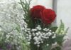 As flores invaden Vilagarcía nos días previos a Defuntos