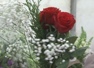 As flores invaden Vilagarcía nos días previos a Defuntos