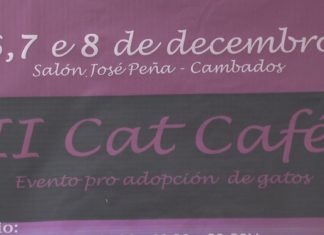 Na ponte de decembro chega a Cambados o II Cat Café