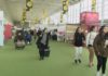 Arrinca o Culturgal, a grande cita do sector da cultura en Galicia