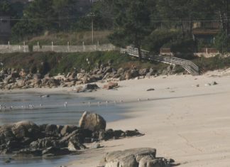 O cadáver atopado nunha praia do Grove, aínda sen identificar