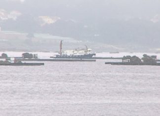 A marea vermella volve a afectar á ría de Muros-Noia