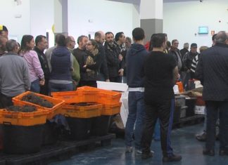 Arranca a campaña da centola, con menos capturas das que agardaban os mariñeiros