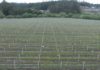 A Xunta avanza na Lei de Fomento da Mobilidade da Terra Produtiva A Xunta avanza na Lei de Fomento da Mobilidade da Terra Produtiva