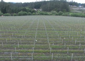 A Xunta avanza na Lei de Fomento da Mobilidade da Terra Produtiva A Xunta avanza na Lei de Fomento da Mobilidade da Terra Produtiva