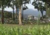 Un descanso hortícola para desconectar da urbe