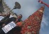 A centola, protagonista da árbore de Nadal de Emgrobes