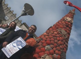 A centola, protagonista da árbore de Nadal de Emgrobes