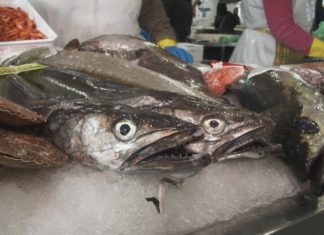 Marisco e peixe, os produtos favoritos para engalanar a mesa por Noiteboa