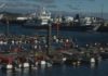 A confraría de Ribeira demanda máis vixilancia e seguridade no porto
