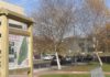 Unha ruta pon en valor o arboreto do Campus de Pontevedra
