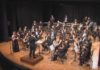 Gran calidade e variedade no Ciclo de Butacas de primavera