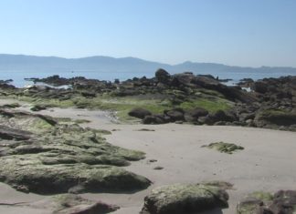20 anos de protestas pola praia Carabuxeira de Sanxenxo 20 anos de protestas na praia Carabuxeira de Sanxenxo