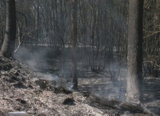 Muíños teme que a chegada das chuvias arrastre a cinza queimada á Ría