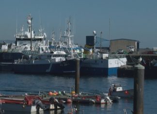 Novos roubos a embarcacións no porto de Ribeira