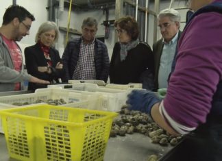 A secretaria xeral de Emprego coñece o funcionamento da Cooperativa Ría de Arousa