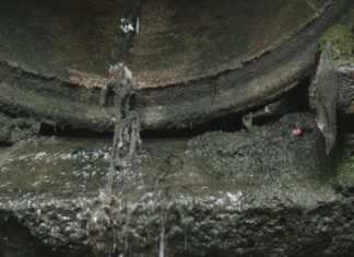 Os veciños da Fonte da Coca denuncian o vertido ao río do Con de restos fecais