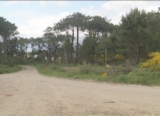 A construción do parque empresarial será unha das prioridades para o executivo sonense