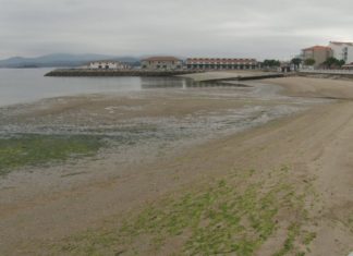 As mariscadoras, Costas e o Concello de Vilagarcía coordinaranse para recuperar a area da praia de Vilaxoán As mariscadoras, Costas e o Concello de Vilagarcía coordinaranse para recuperar a area da praia de Vilaxoán
