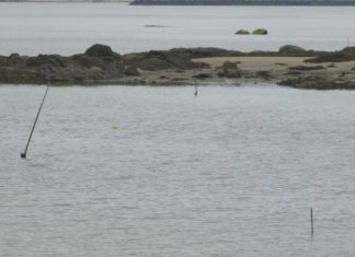Dúas dimisión poñerían fin ao conflito entre as agrupacións de mariscadores de Vilaxoán Dúas dimisión poñerían fin ao conflito entre as agrupacións de mariscadores de Vilaxoán