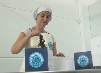 Unha empresa de Cambados e Alcampo acordan distribuír algas da ría por toda España