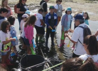 Cambados e o GALP da Ría de Arousa levan a 25 nenos e nenas a coñecer o marisqueo Cambados e o Galp da Ría de Arousa levan a 25 nenos e nenas a coñecer a labor do mariqueo
