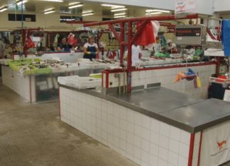 Boas vendas do polbo e a nécora no inicio da nova campaña Boas vendas do polbo e a nécora no inicio da nova campaña