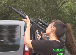 Cun dron ou cun fusil: o pioneiro método que empregan no Salnés para fulminar velutinas