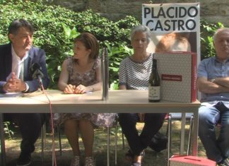Antía Veres faise co Premio Plácido Castro de Tradución pola súa versión galega de ‘A Lost Lady’