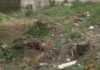 A Asociación Vaipolorío recolleu preto de 700 kg de lixo no río Gafos