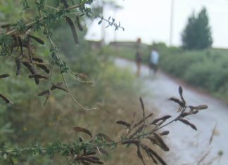 Os veciños de Manle denuncian o abandono do lugar