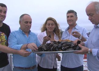 Máis de 15 mil quilos de moluscos para a XXV festa do Mexillón e o Berberecho de Vilanova Máis de 15 mil quilos de moluscos para a XXV festa do Mexillón e o Berberecho de Vilanova