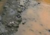O Río do Con tinguiuse de laranxa en Vilagarcía O Río do Con tinguiuse de laranxa en Vilagarcía