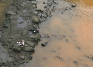 O Río do Con tinguiuse de laranxa en Vilagarcía O Río do Con tinguiuse de laranxa en Vilagarcía