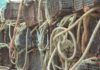 PescadeRías 3: O polbo, tradición gastronómica con selo de calidade